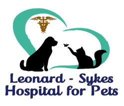 Animal Hospital in Wilmington, NC | Leonard Sykes Hospital For Pets